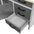 Stol-warsztatowy-z-6-szufladami-i-2-szafkami-zamykanymi-WERKBERG-HANDYMAN-S-160-cm-G-60-cm-H-85-cm-grafit-MTP008647-20 (1).jpg